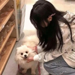 决斗之城ol官方下载